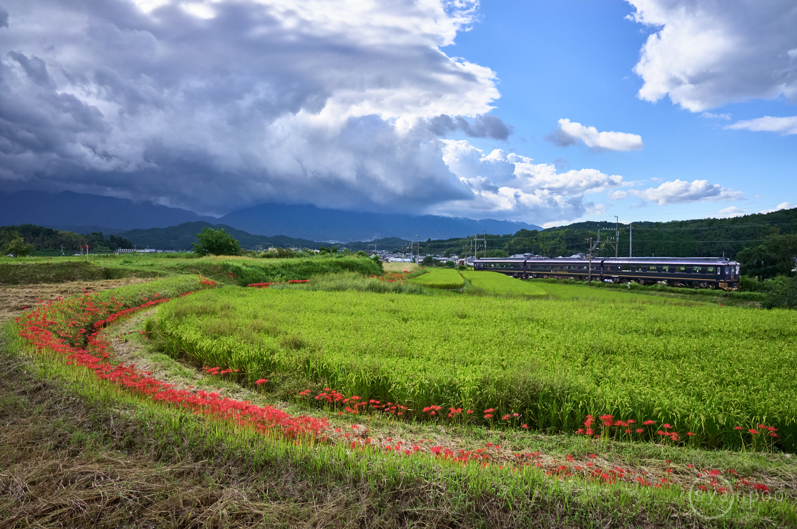 https://www.yaotomi.co.jp/blog/walk/SDIM3111%2C24%20mm%2CF7.1%2Ciso800%28DNG%29.jpg