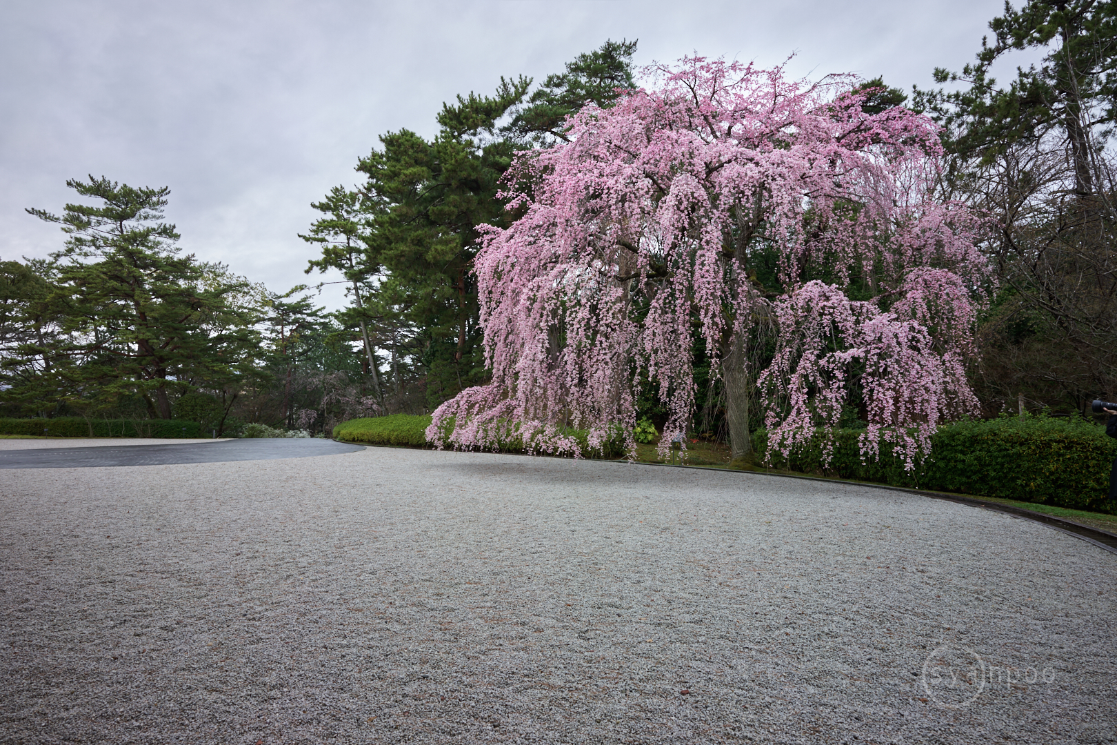 https://www.yaotomi.co.jp/blog/walk/SDIM3210%2C20%20mm%2CF7.1%2Ciso100%28DNG%29.jpg