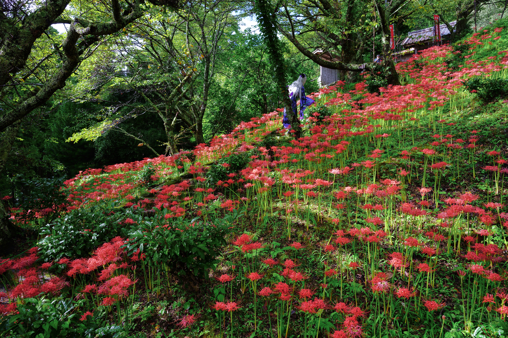 https://www.yaotomi.co.jp/blog/walk/SDIM3268%2C24%20mm%2CF8%2Ciso100%28JPEG%29.jpg