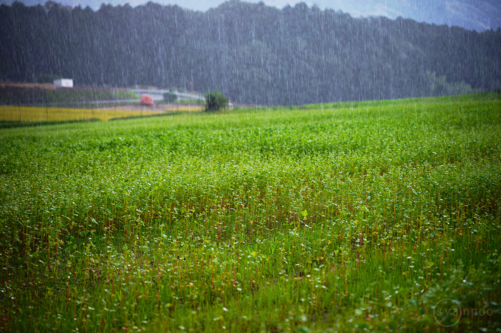 https://www.yaotomi.co.jp/blog/walk/SDIM3434%2C90%20mm%2CF3.2%2Ciso100%28JPEG%29.jpg