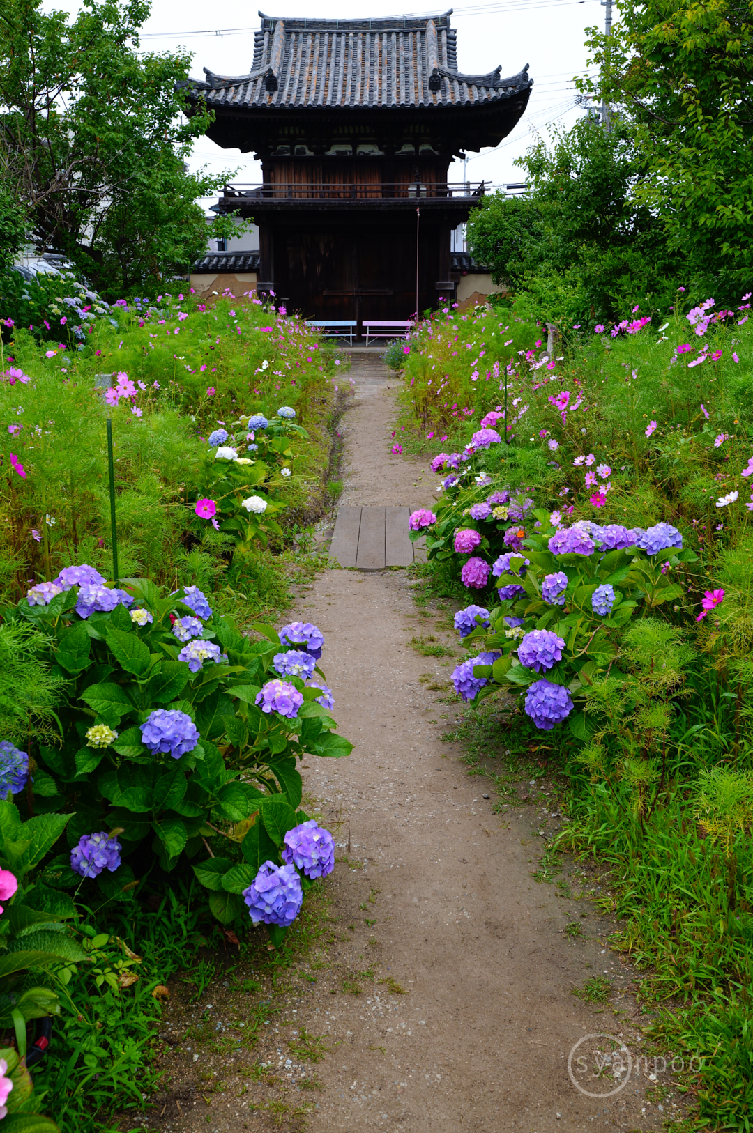 https://www.yaotomi.co.jp/blog/walk/SDIM3445%2C28%20mm%2CF8%2Ciso100%28JPEG%29.jpg