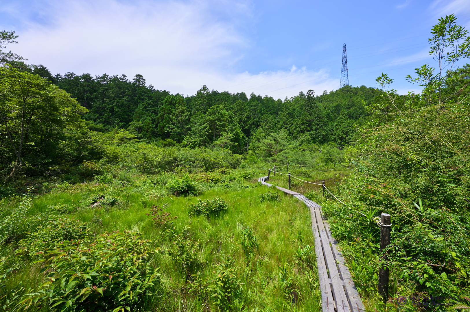 https://www.yaotomi.co.jp/blog/walk/SDIM3522%2C14%20mm%2CF8%2Ciso100.jpg