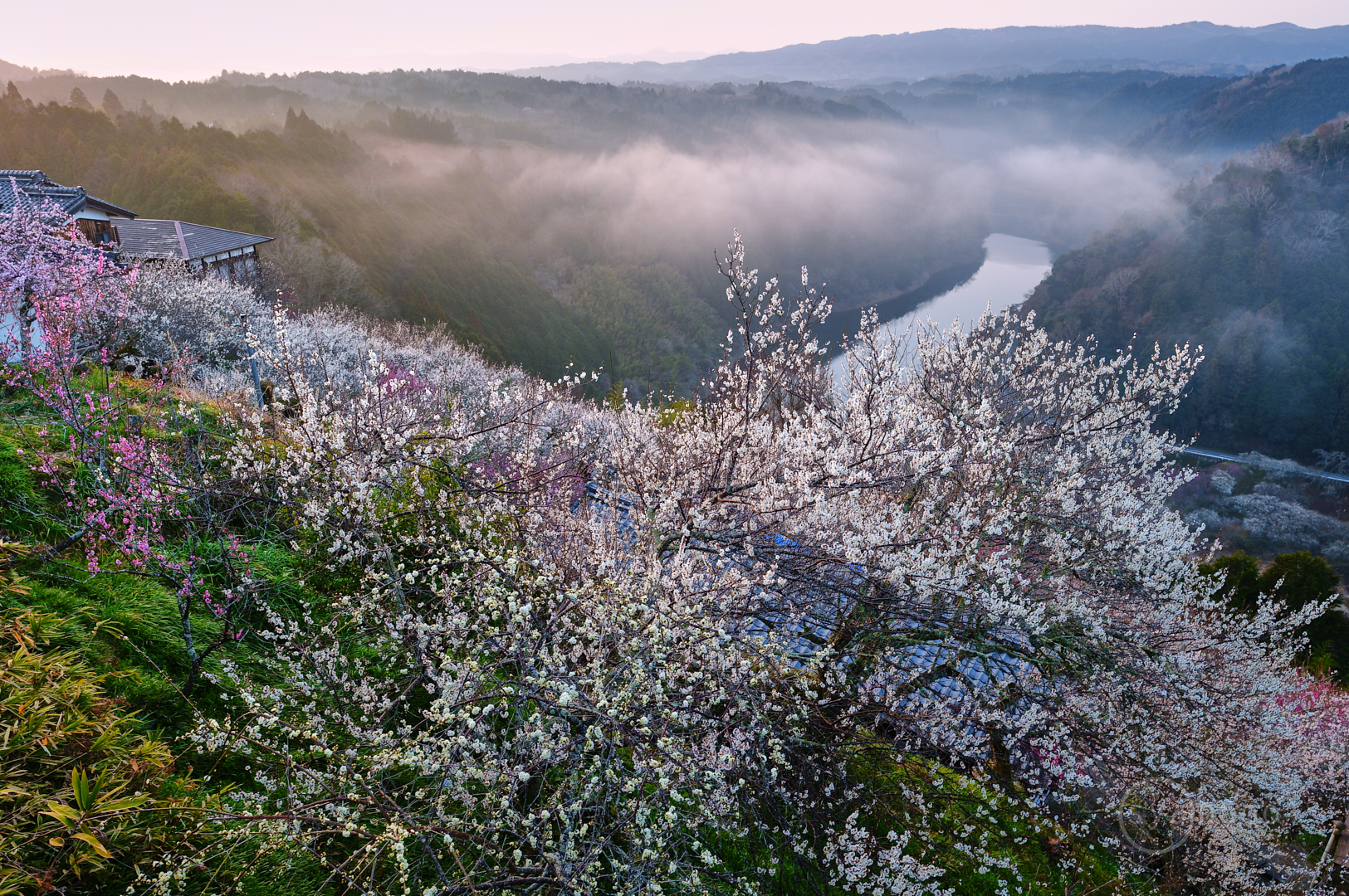 https://www.yaotomi.co.jp/blog/walk/SDIM3781%2C23%20mm%2CF9%2Ciso200%28JPEG%29.jpg