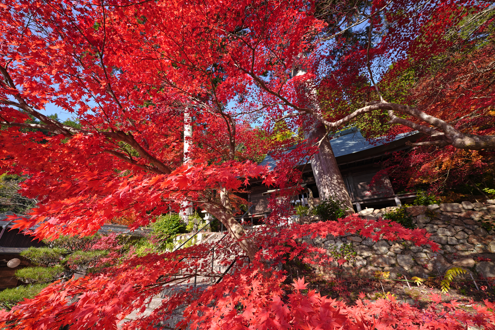 https://www.yaotomi.co.jp/blog/walk/SDIM3808%2CSIGMA%20fp%2C14%20mm_2020yaotomi.jpg