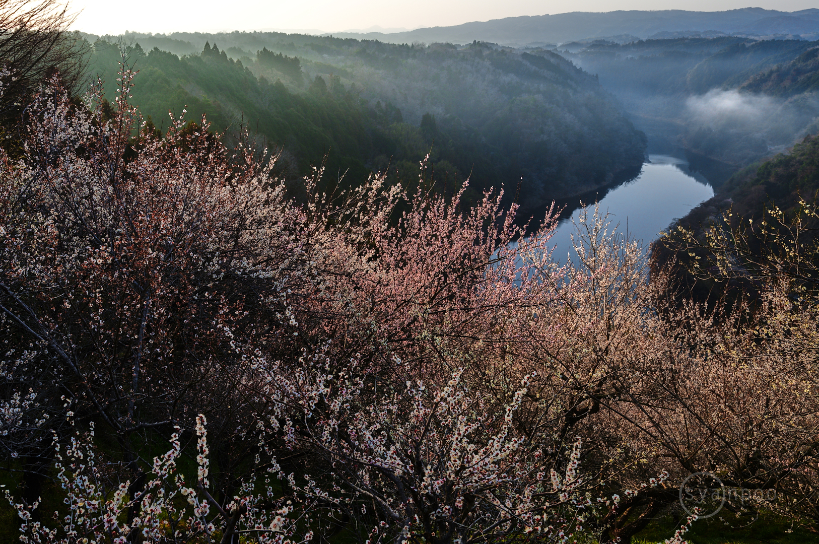 https://www.yaotomi.co.jp/blog/walk/SDIM3989%2C21%20mm%2CF9%2Ciso100%28JPEG%29.jpg