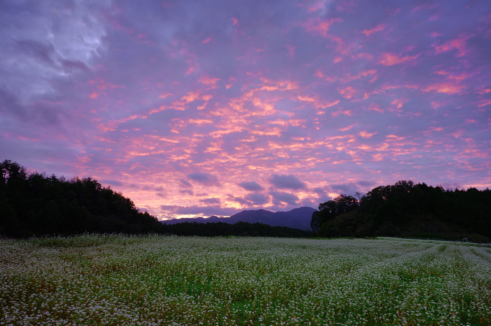 https://www.yaotomi.co.jp/blog/walk/SDIM4104%2C24%20mm%2CF8%2Ciso100%28JPEG%29.jpg