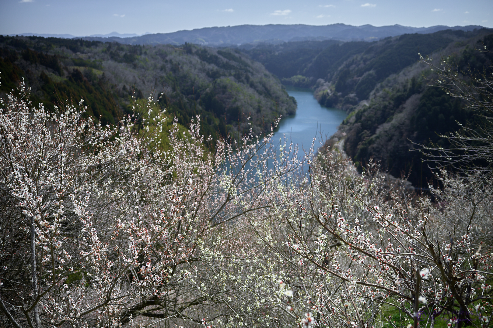 https://www.yaotomi.co.jp/blog/walk/SDIM4134%2C28%20mm%2CF2.8%2Ciso100.jpg