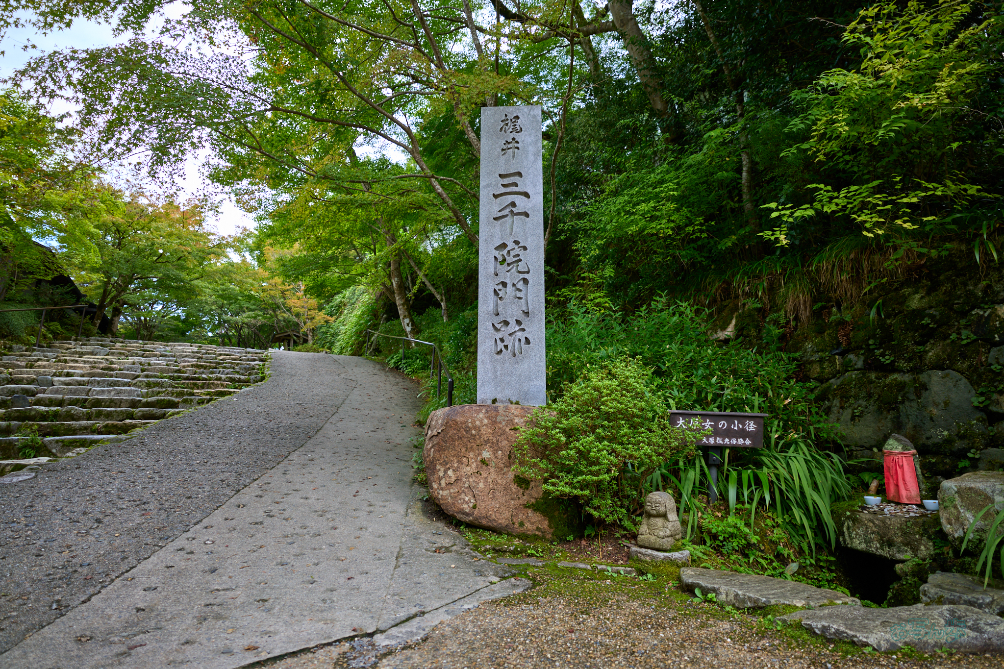 https://www.yaotomi.co.jp/blog/walk/SDIM4191co%2C20%20mm%2CF2.8%2C1-200%20%E7%A7%92%2Ciso100%2C20-60mm%20F2.8-4%20DG%20%20Contemporary%20026.jpg
