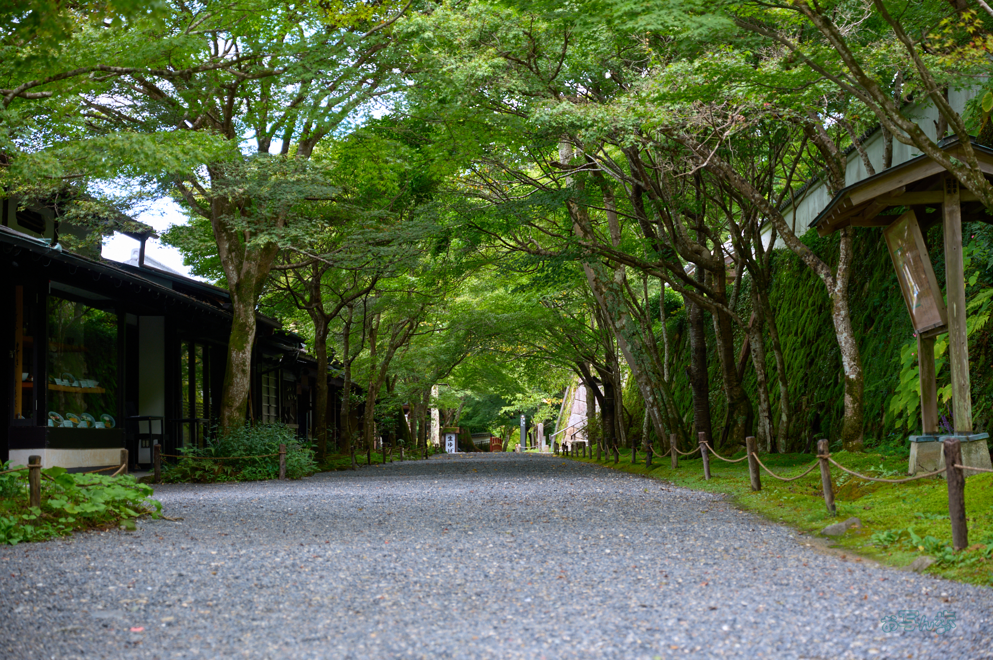https://www.yaotomi.co.jp/blog/walk/SDIM4196co%2C60%20mm%2CF4%2C1-60%20%E7%A7%92%2Ciso125%2C20-60mm%20F2.8-4%20DG%20%20Contemporary%20026.jpg