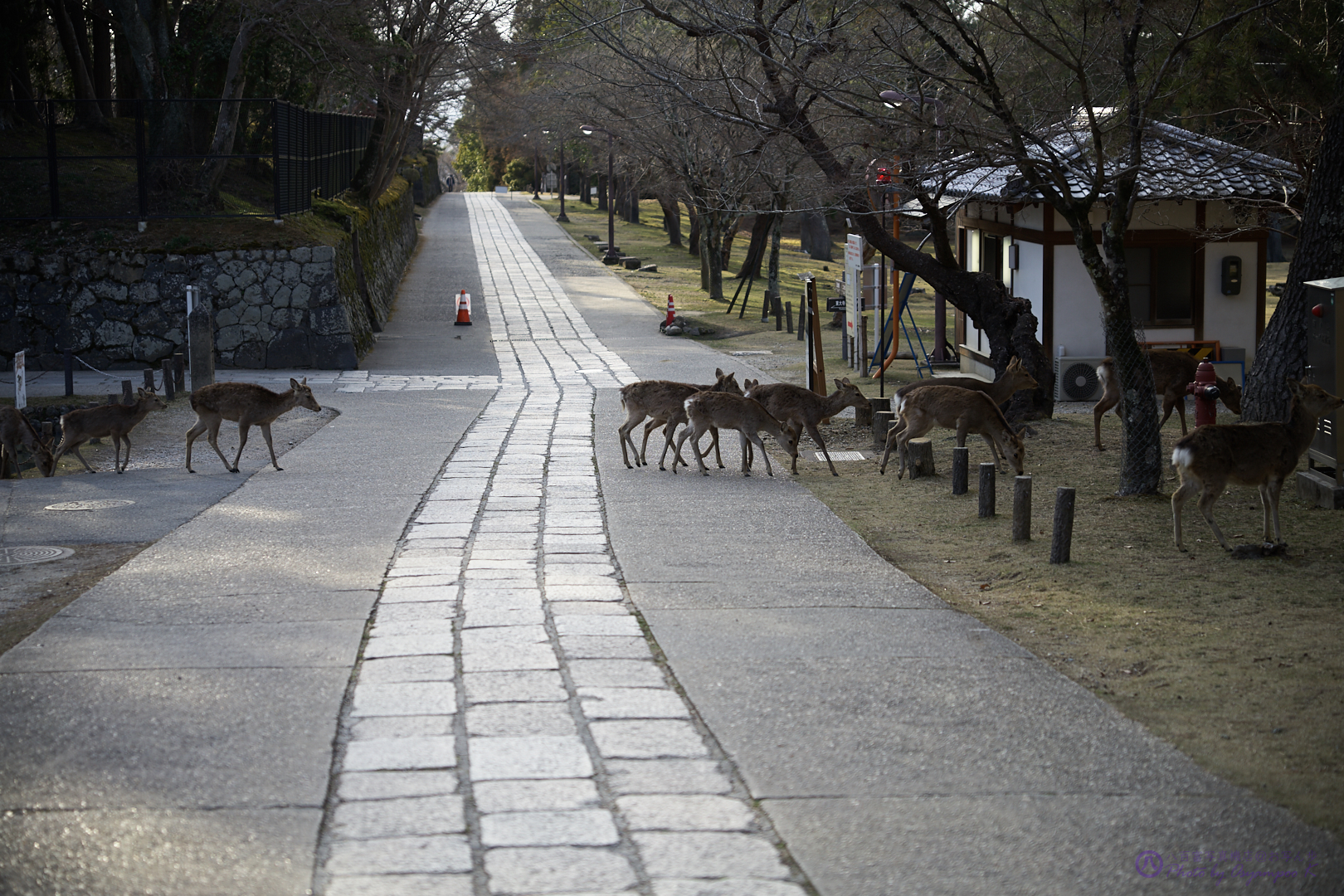 https://www.yaotomi.co.jp/blog/walk/SDIM4223%2C70%20mm%2CF2.8%2Ciso100.jpg