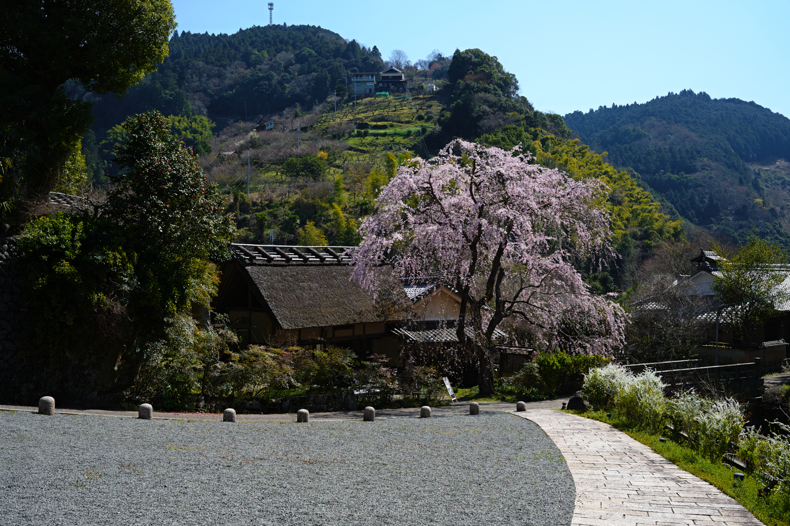 https://www.yaotomi.co.jp/blog/walk/SDIM4300_2020yaotomi.jpg