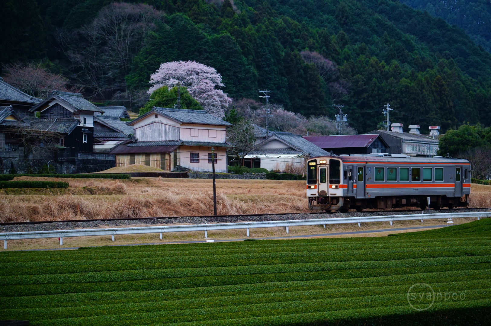 https://www.yaotomi.co.jp/blog/walk/SDIM4417%2C121%20mm%2CF5.3%2Ciso3200%28JPEG%29%201.jpg