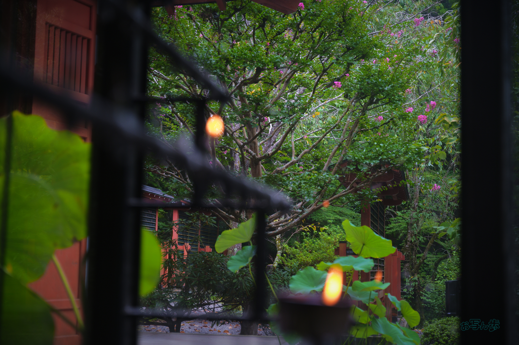 https://www.yaotomi.co.jp/blog/walk/SDIM4420co%2C58%20mm%2CF4%2C1-125%20%E7%A7%92%2Ciso100%2C20-60mm%20F2.8-4%20DG%20%20Contemporary%20026.jpg