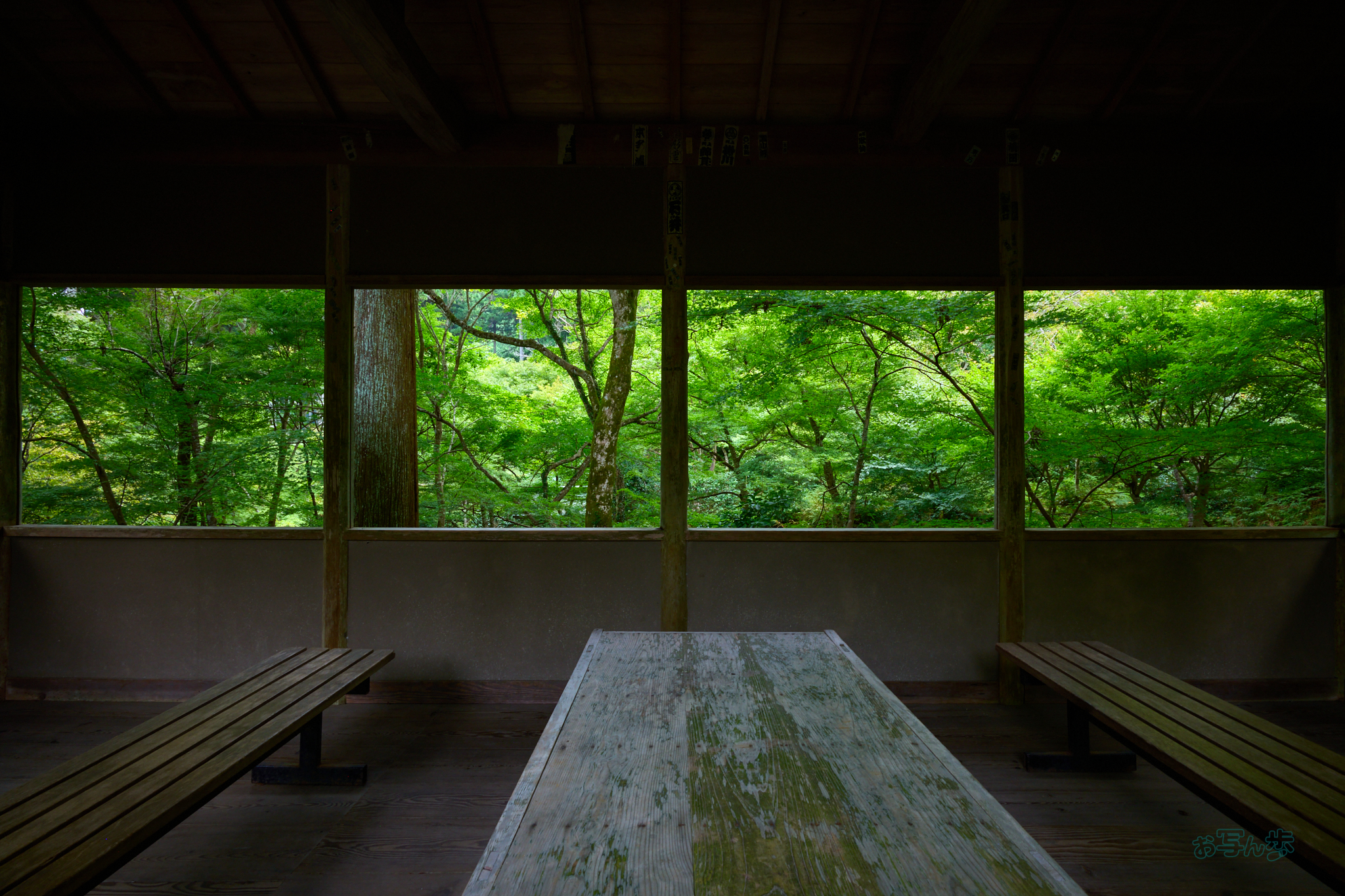 https://www.yaotomi.co.jp/blog/walk/SDIM4436co%2C20%20mm%2CF11%2C1-20%20%E7%A7%92%2Ciso500%2C20-60mm%20F2.8-4%20DG%20%20Contemporary%20026.jpg