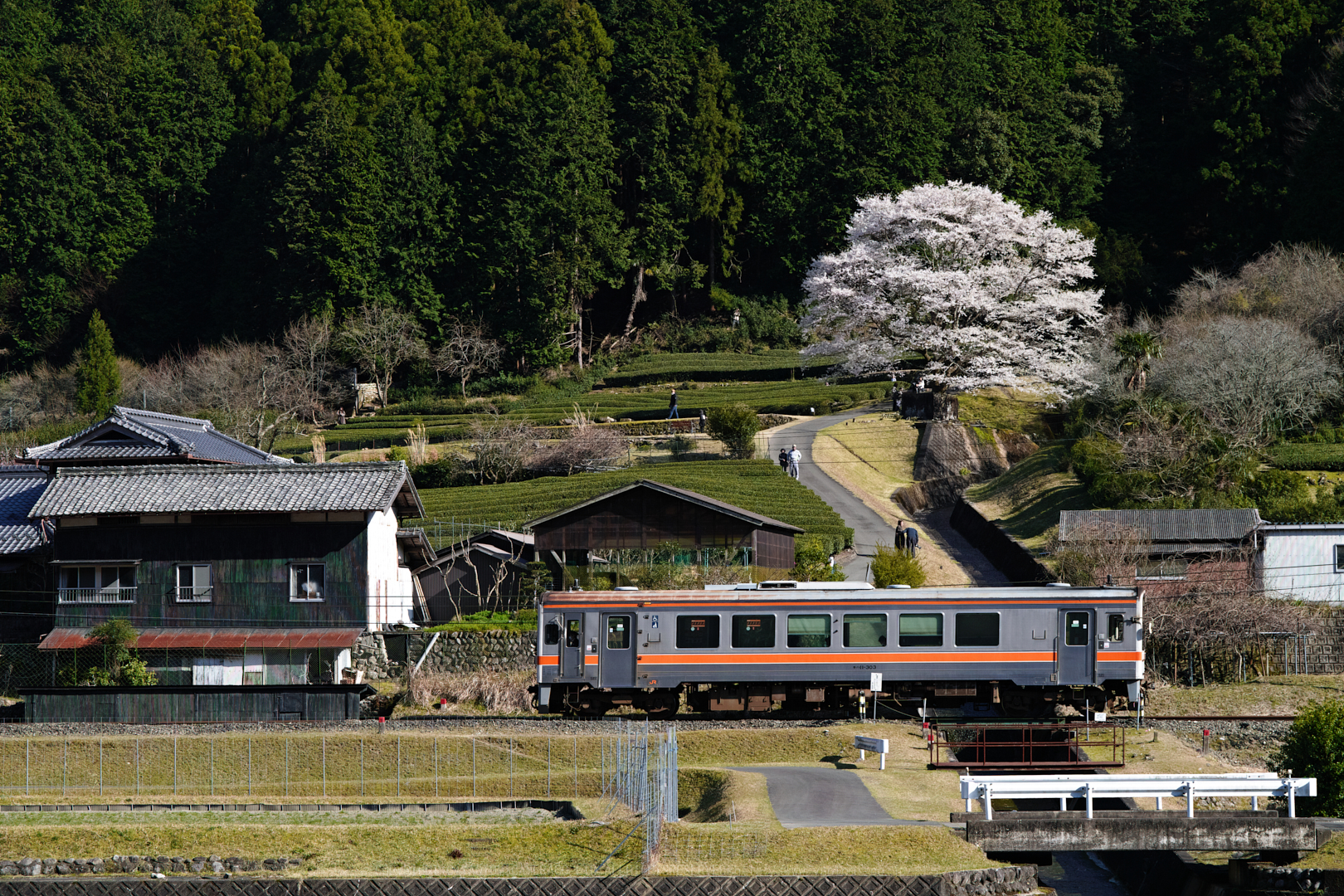 https://www.yaotomi.co.jp/blog/walk/SDIM4489_2020yaotomi%201.jpg