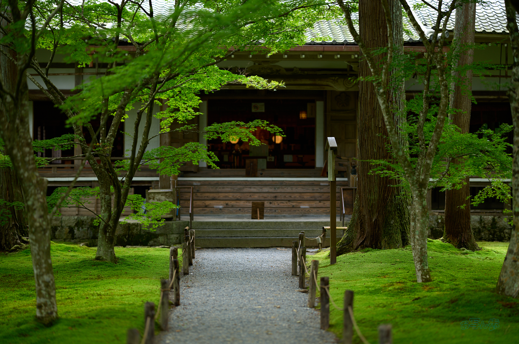 https://www.yaotomi.co.jp/blog/walk/SDIM4549co%2C85%20mm%2CF1.2%2C1-640%20%E7%A7%92%2Ciso100%2C85mm%20F1.2%20DG%20%20Art%20026.jpg