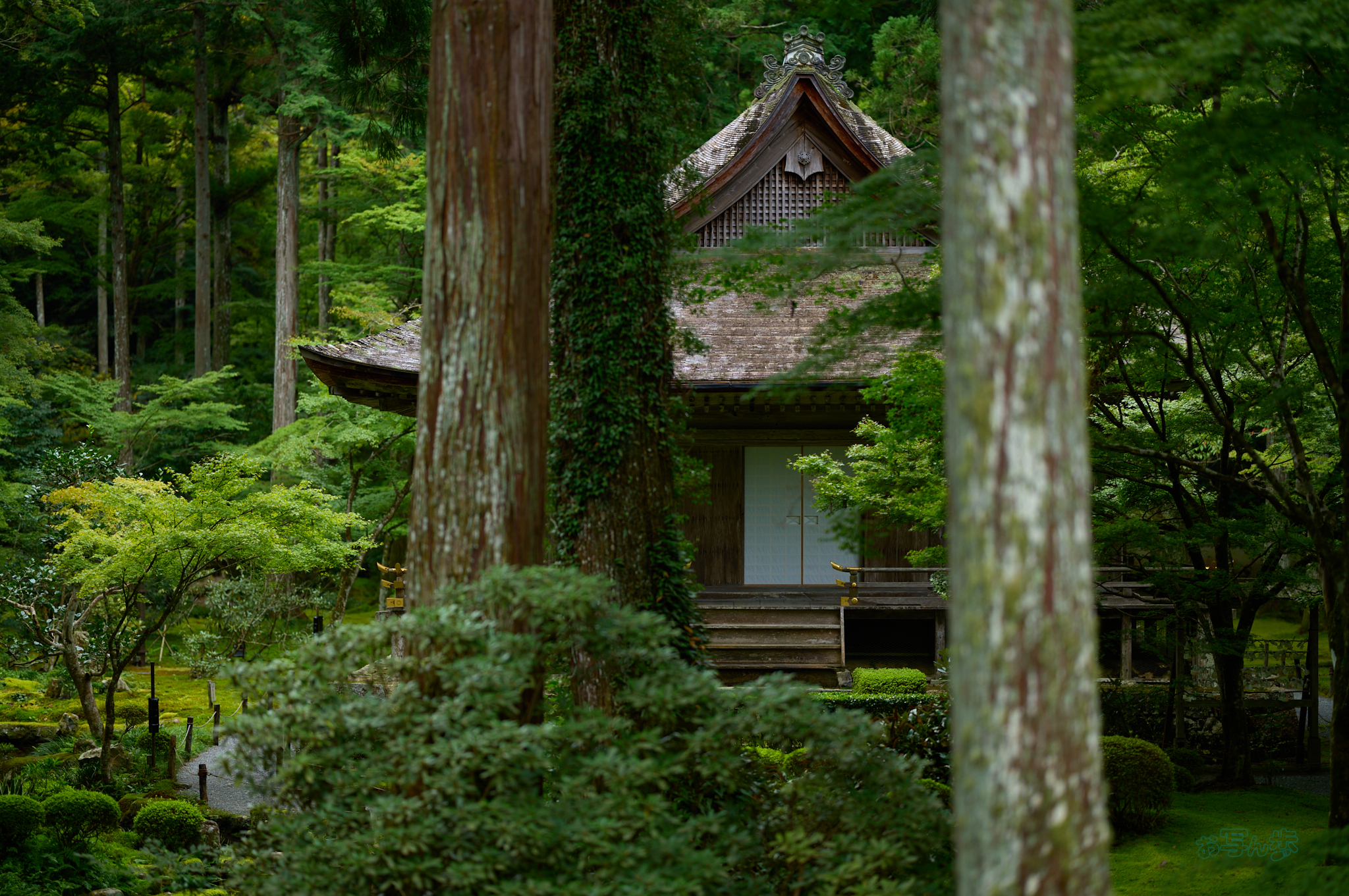 https://www.yaotomi.co.jp/blog/walk/SDIM4565co%2C85%20mm%2CF1.2%2C1-2000%20%E7%A7%92%2Ciso100%2C85mm%20F1.2%20DG%20%20Art%20026.jpg