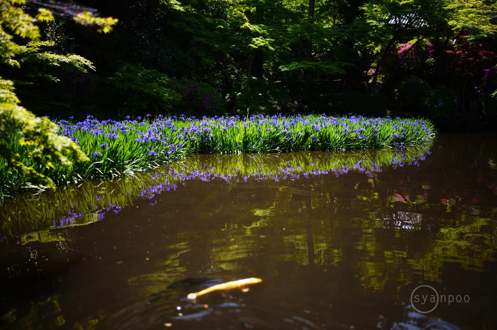 https://www.yaotomi.co.jp/blog/walk/SDIM4598%2C35%20mm%2CF1.4%2Ciso100%28JPEG%29.jpg