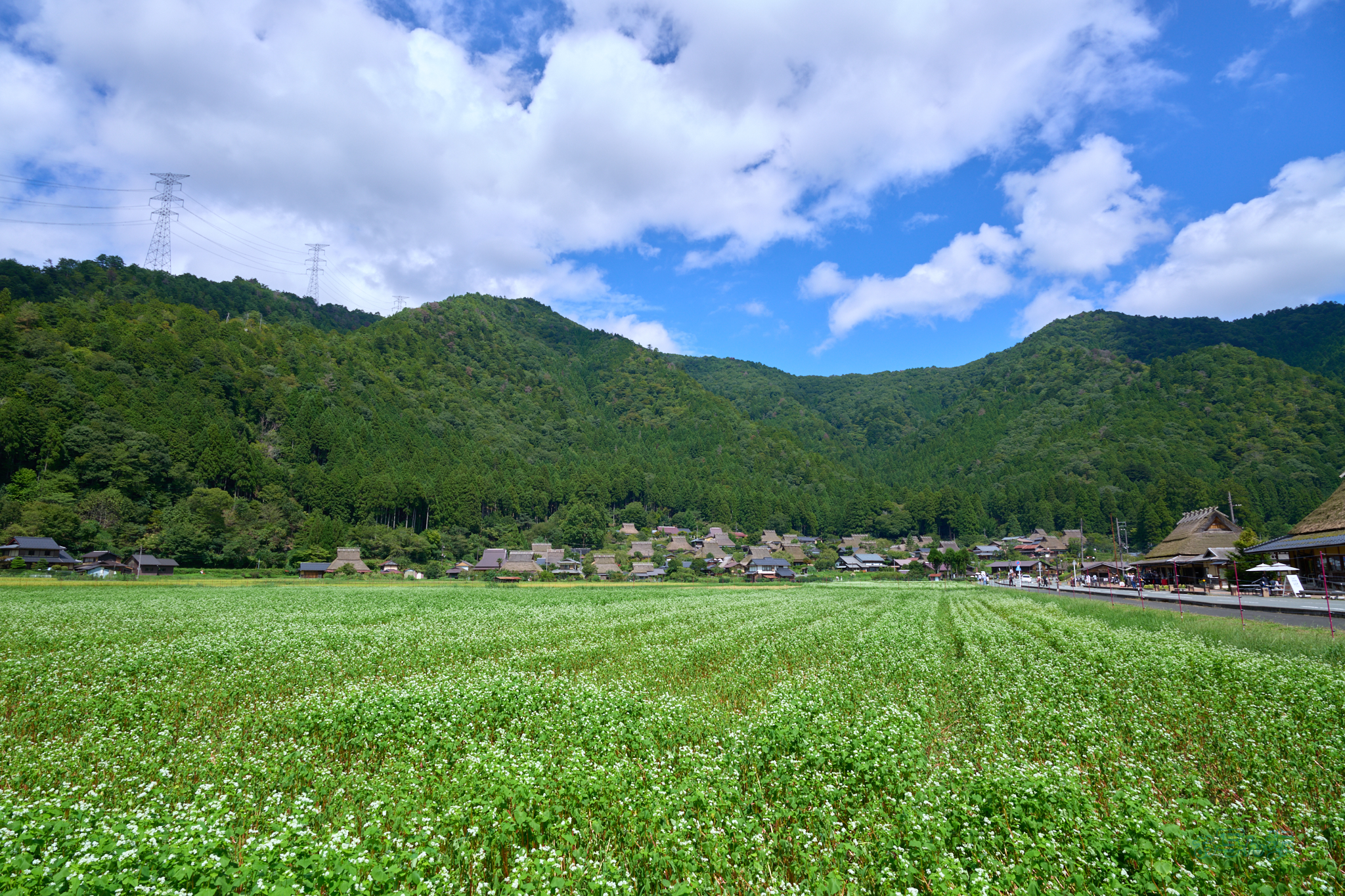 https://www.yaotomi.co.jp/blog/walk/SDIM4639co%2C20%20mm%2CF10%2C1-125%20%E7%A7%92%2Ciso100%2C20-60mm%20F2.8-4%20DG%20%20Contemporary%20026.jpg