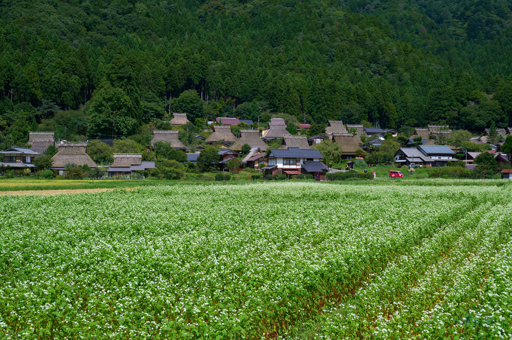 https://www.yaotomi.co.jp/blog/walk/SDIM4658co%2C48%20mm%2CF10%2C1-250%20%E7%A7%92%2Ciso100%2C20-60mm%20F2.8-4%20DG%20%20Contemporary%20026.jpg