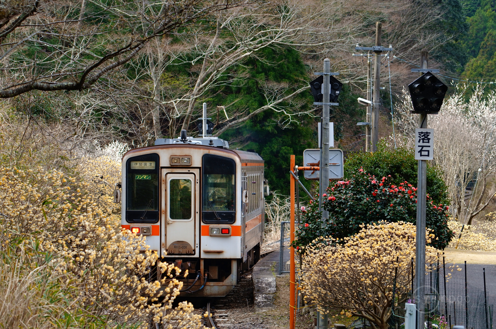 https://www.yaotomi.co.jp/blog/walk/SDIM4746%2C120%20mm%2CF7.1%2Ciso400%28JPEG%29.jpg