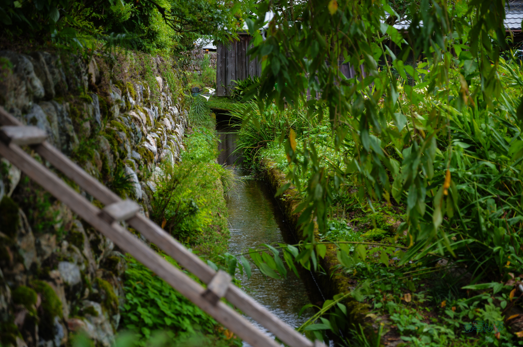 https://www.yaotomi.co.jp/blog/walk/SDIM4798co%2C60%20mm%2CF4%2C1-250%20%E7%A7%92%2Ciso100%2C20-60mm%20F2.8-4%20DG%20%20Contemporary%20026.jpg