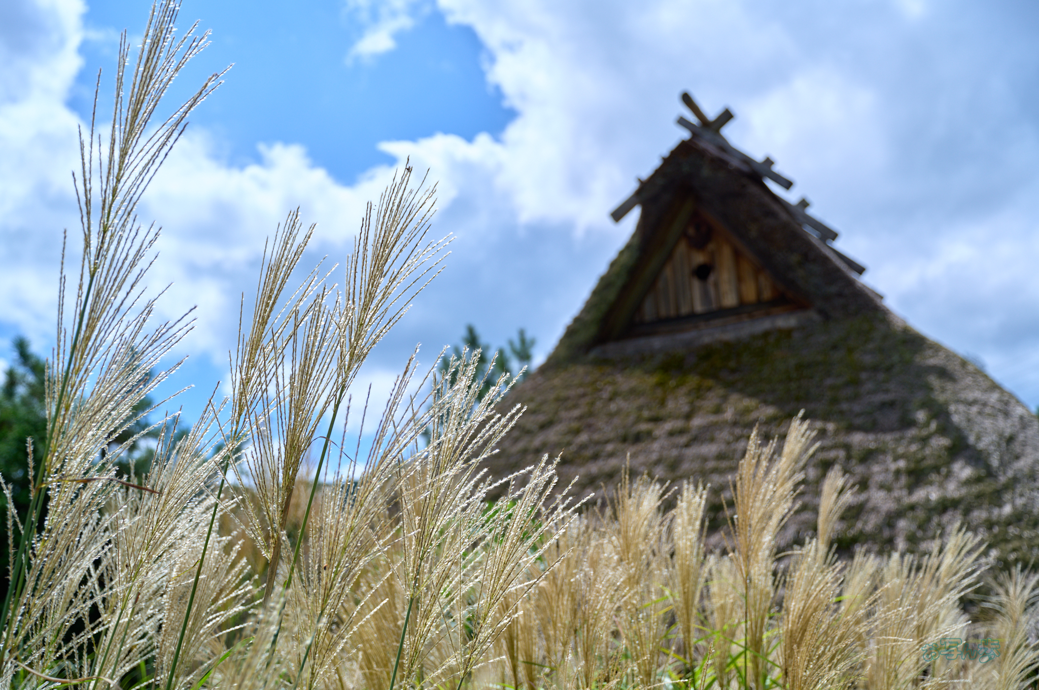 https://www.yaotomi.co.jp/blog/walk/SDIM4903co%2C39%20mm%2CF3.8%2C1-2000%20%E7%A7%92%2Ciso100%2C20-60mm%20F2.8-4%20DG%20%20Contemporary%20026.jpg