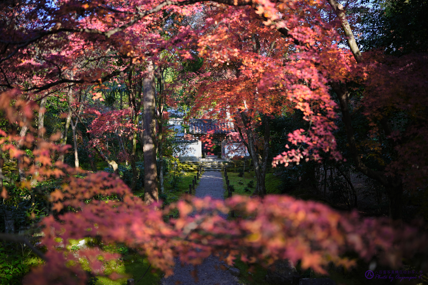 https://www.yaotomi.co.jp/blog/walk/SDIM4917%2CSIGMA%20fp%2C35%20mm_2020yaotomi.jpg