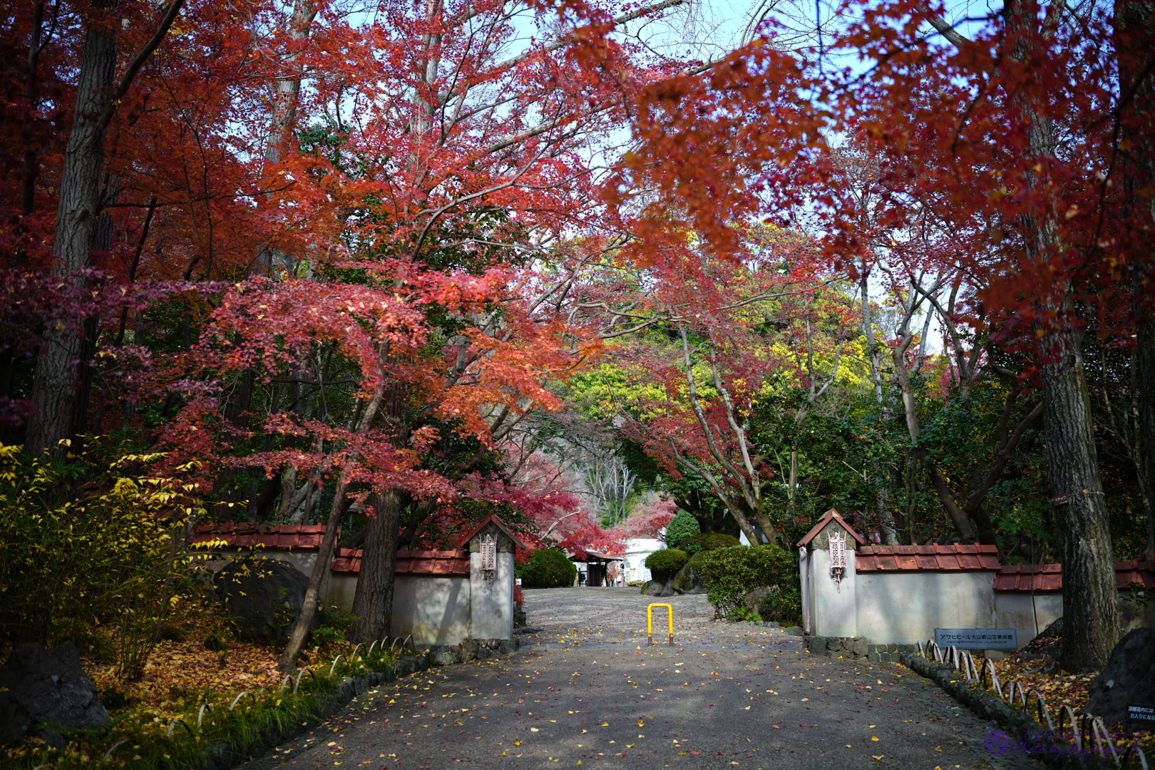 https://www.yaotomi.co.jp/blog/walk/SDIM5147%2CSIGMA%20fp%2C35%20mm_2020yaotomi.jpg