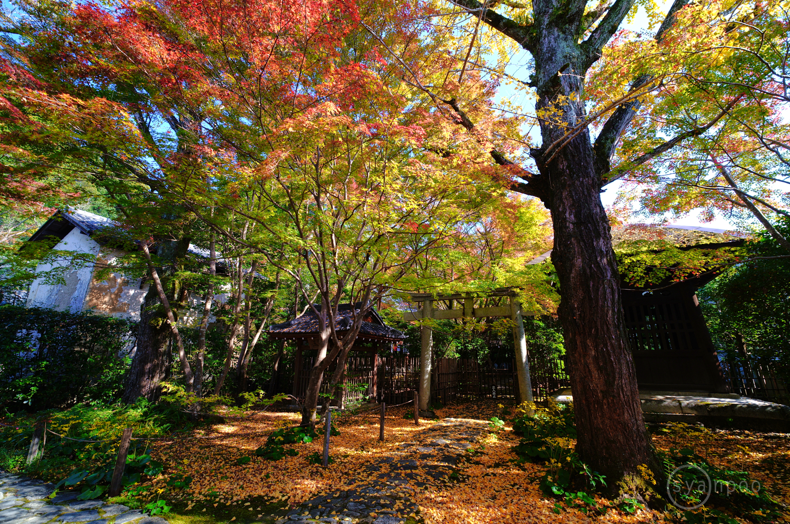 https://www.yaotomi.co.jp/blog/walk/SDIM5167%2C10%20mm%2CF6.3%2Ciso100%28JPEG%29%201.jpg