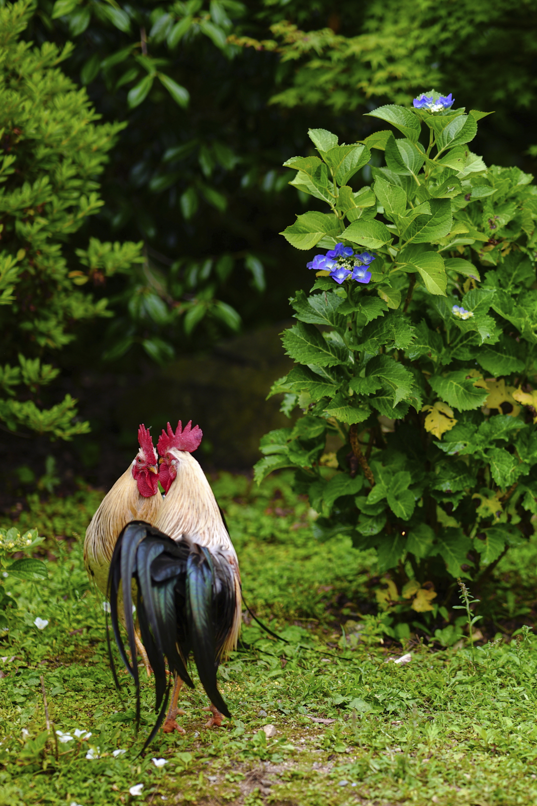 https://www.yaotomi.co.jp/blog/walk/SDIM5169%2C85%20mm%2CF1.4%2Ciso100%28JPEG%29.jpg