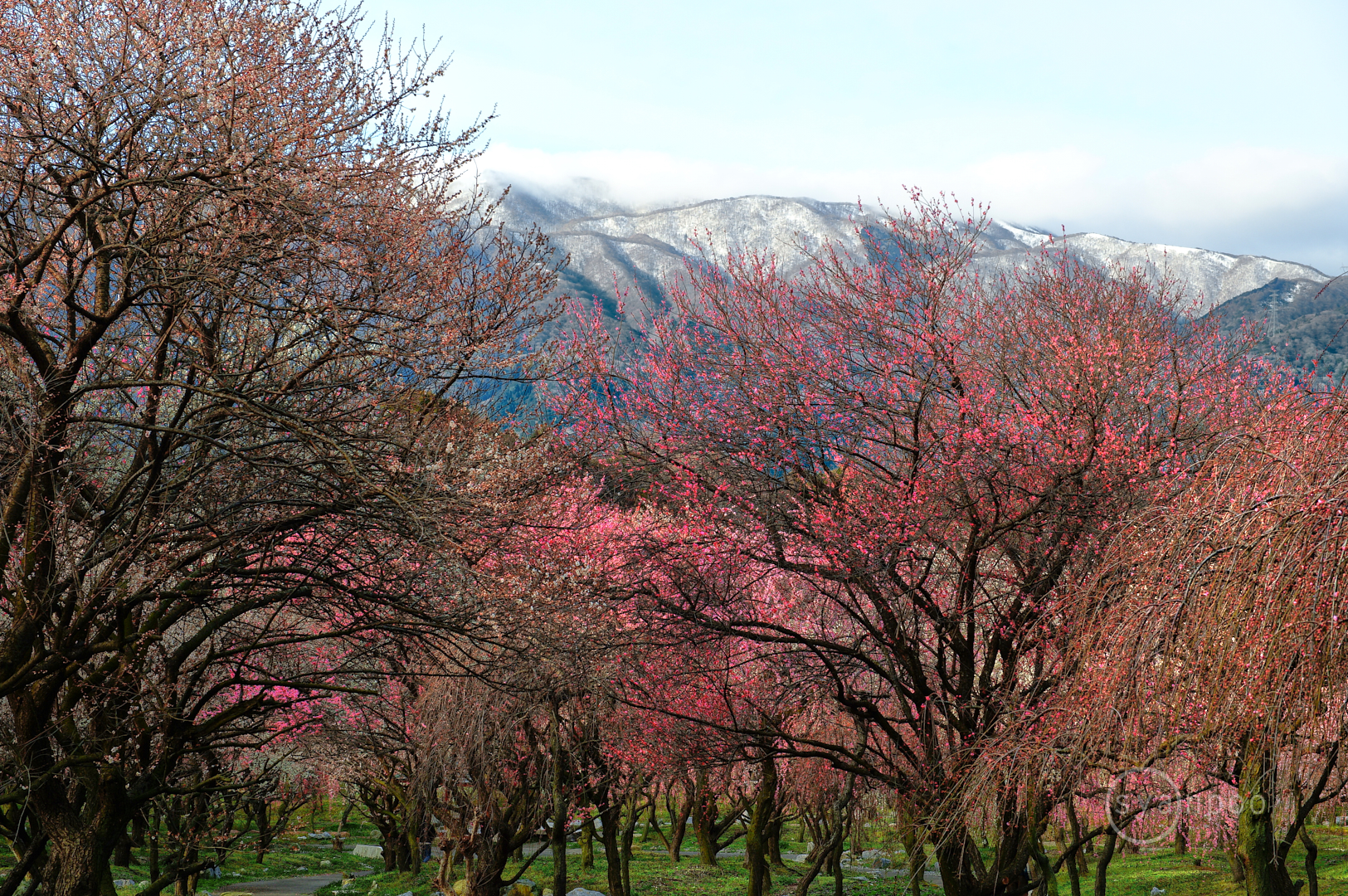 https://www.yaotomi.co.jp/blog/walk/SDIM5206%2C50%20mm%2CF6.3%2Ciso100%28JPEG%29%202.jpg