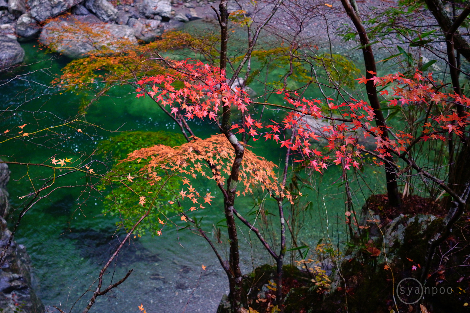 https://www.yaotomi.co.jp/blog/walk/SDIM5214%2C18%20mm%2CF2.8%2Ciso1600%28JPEG%29.jpg