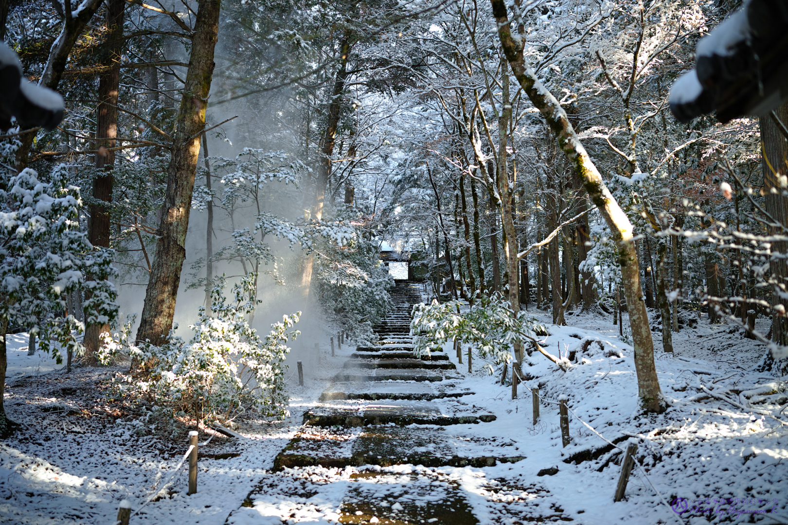 https://www.yaotomi.co.jp/blog/walk/SDIM5232%2C35%20mm_2020yaotomi.jpg