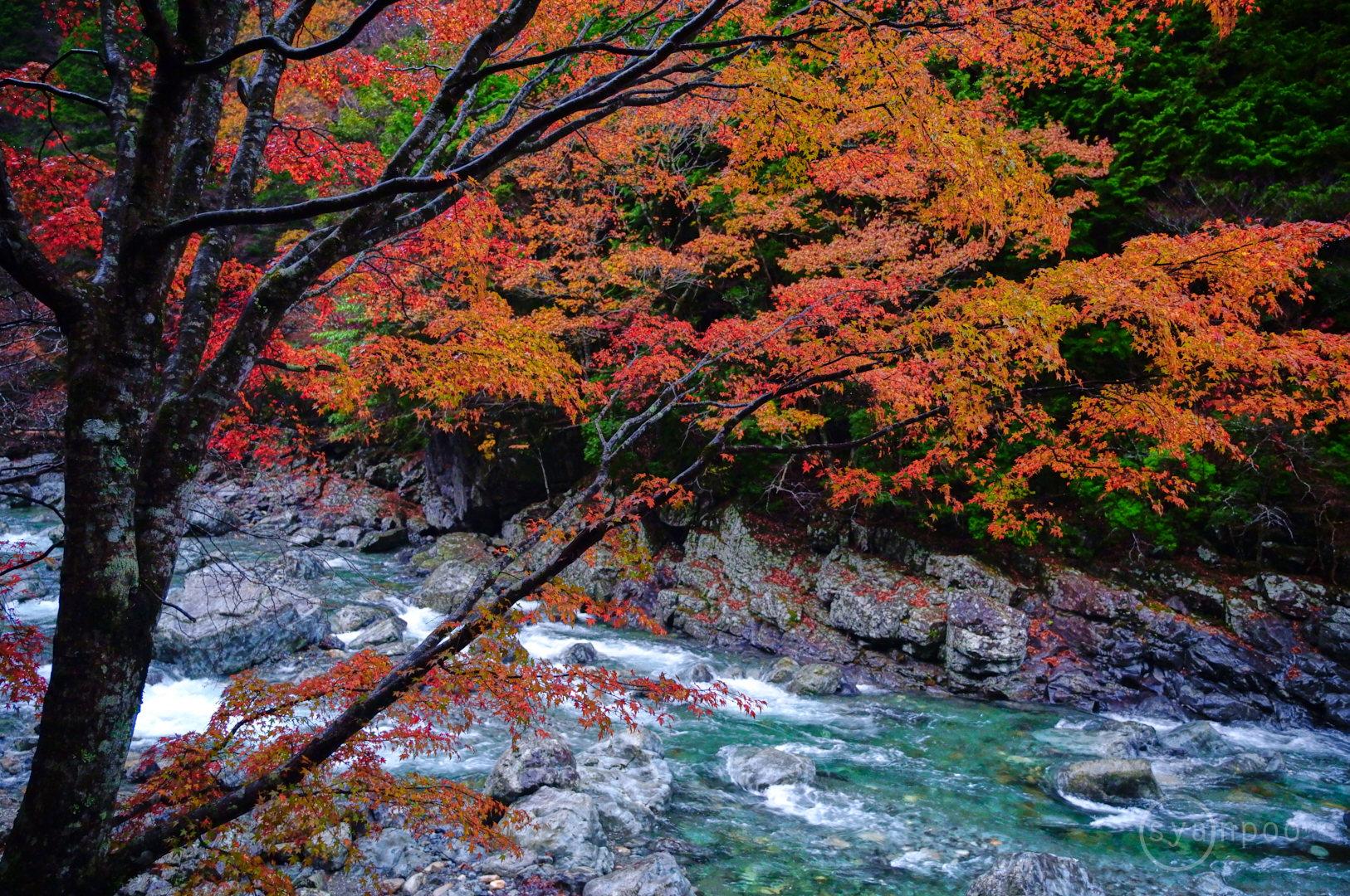 https://www.yaotomi.co.jp/blog/walk/SDIM5247%2C18%20mm%2CF2.8%2Ciso2500%28JPEG%29.jpg