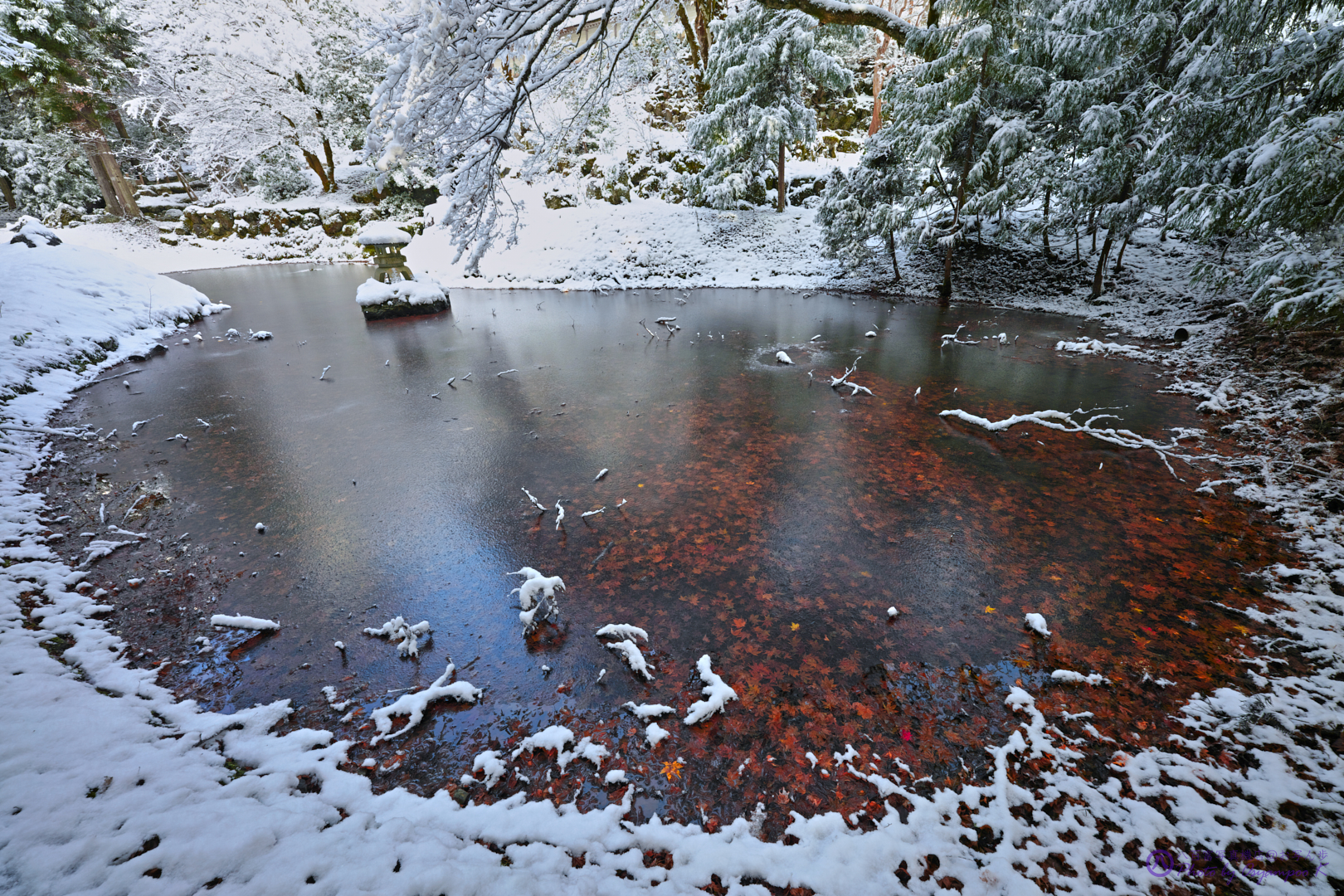 https://www.yaotomi.co.jp/blog/walk/SDIM5268%2C14%20mm_2020yaotomi.jpg