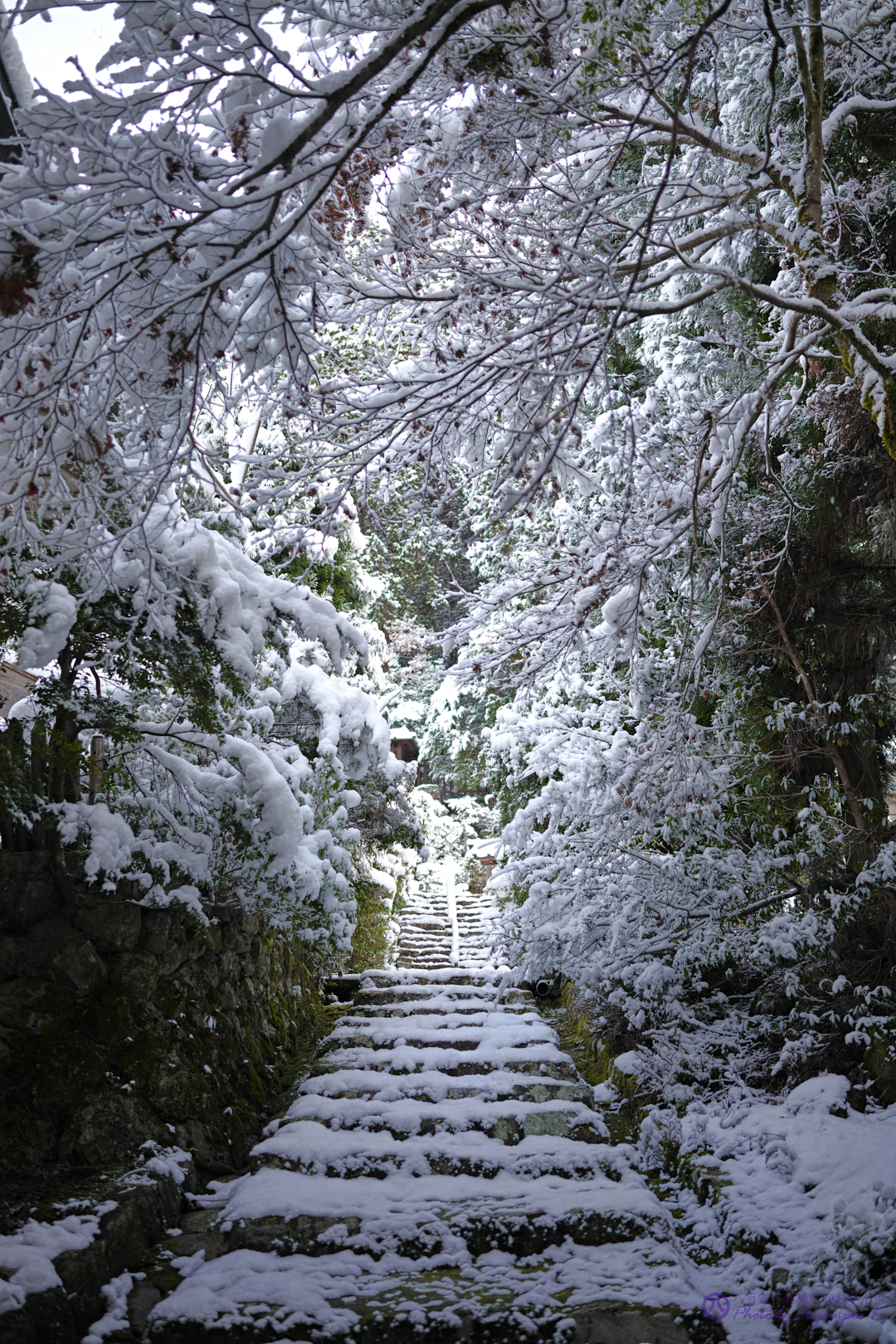 https://www.yaotomi.co.jp/blog/walk/SDIM5281%2C35%20mm_2020yaotomi.jpg