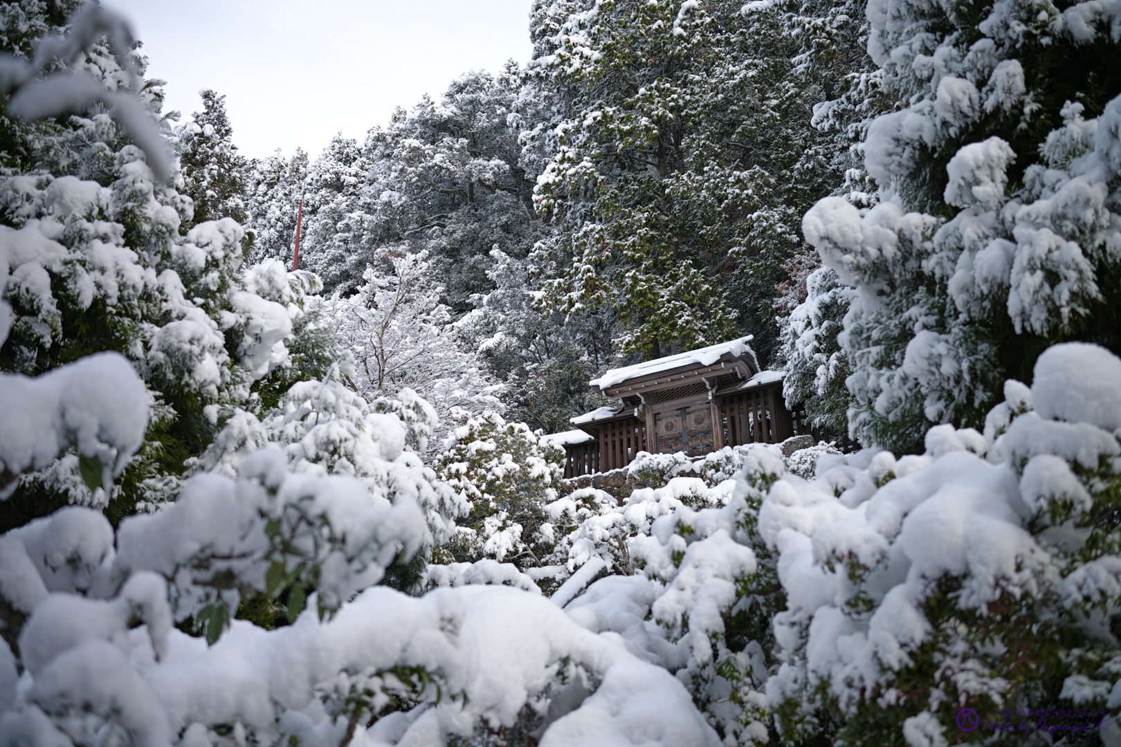 https://www.yaotomi.co.jp/blog/walk/SDIM5283%2C35%20mm_2020yaotomi.jpg