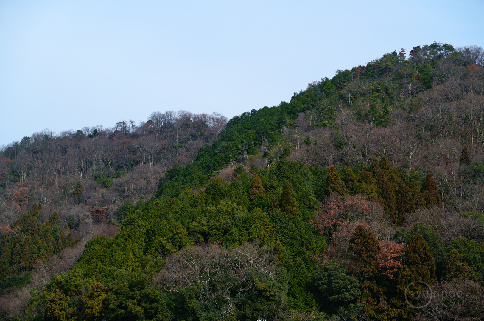https://www.yaotomi.co.jp/blog/walk/SDIM5300%2C60%20mm%2CF7.1%2Ciso100%28JPEG%29.jpg