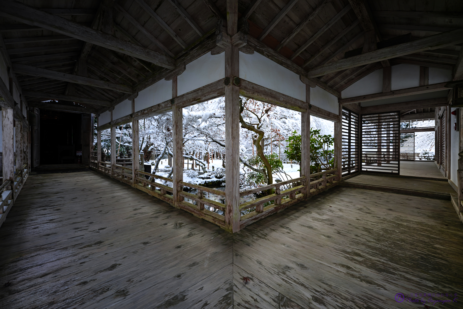 https://www.yaotomi.co.jp/blog/walk/SDIM5391%2C14%20mm_2020yaotomi.jpg