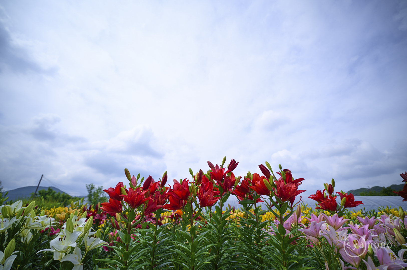 https://www.yaotomi.co.jp/blog/walk/SDIM6078%2C16%20mm%2CF2.8%2Ciso100%28DNG%29%201.jpg