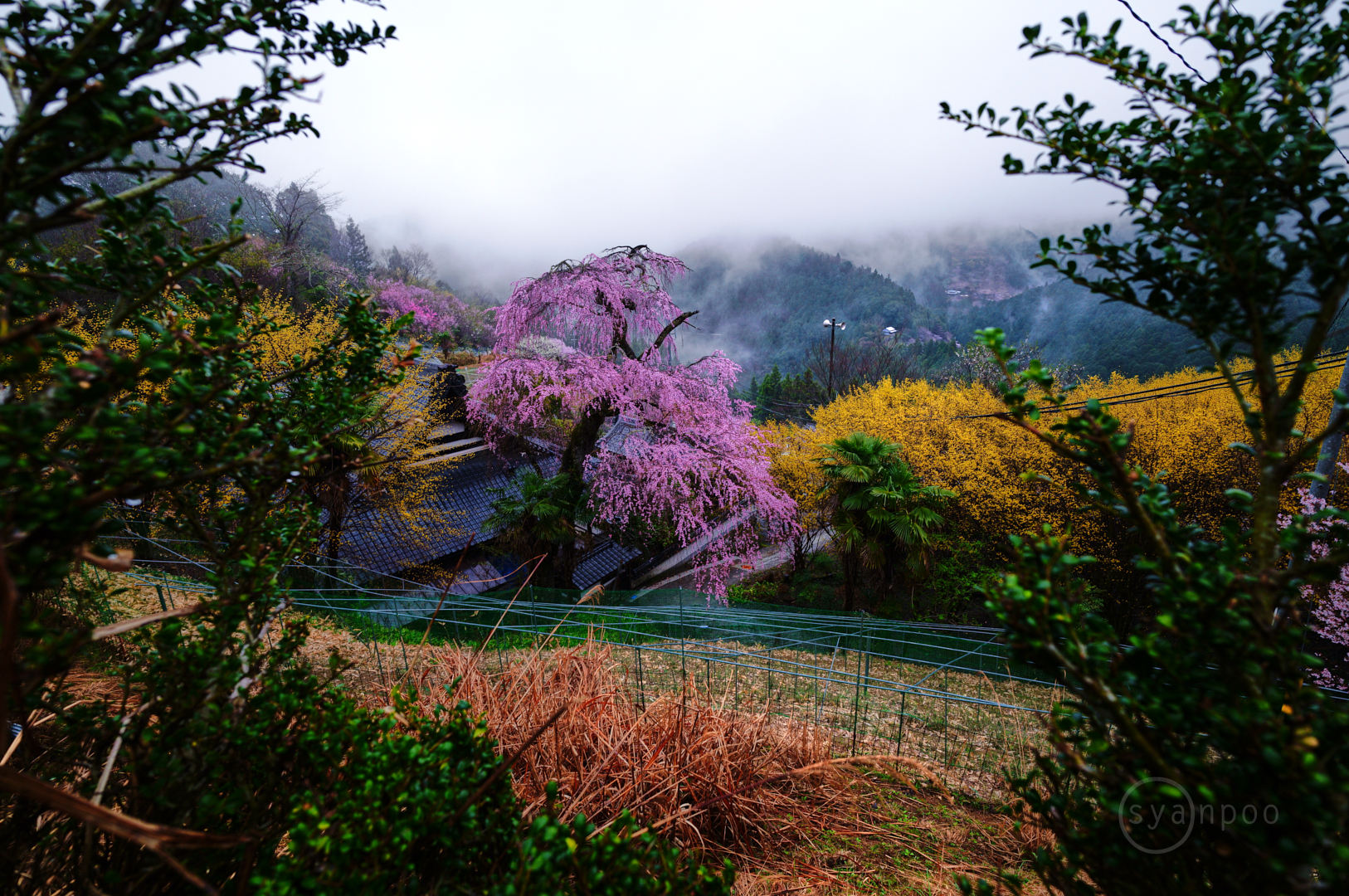 https://www.yaotomi.co.jp/blog/walk/SDIM6089%2C17%20mm%2CF6.3%2Ciso250%28JPEG%29.jpg