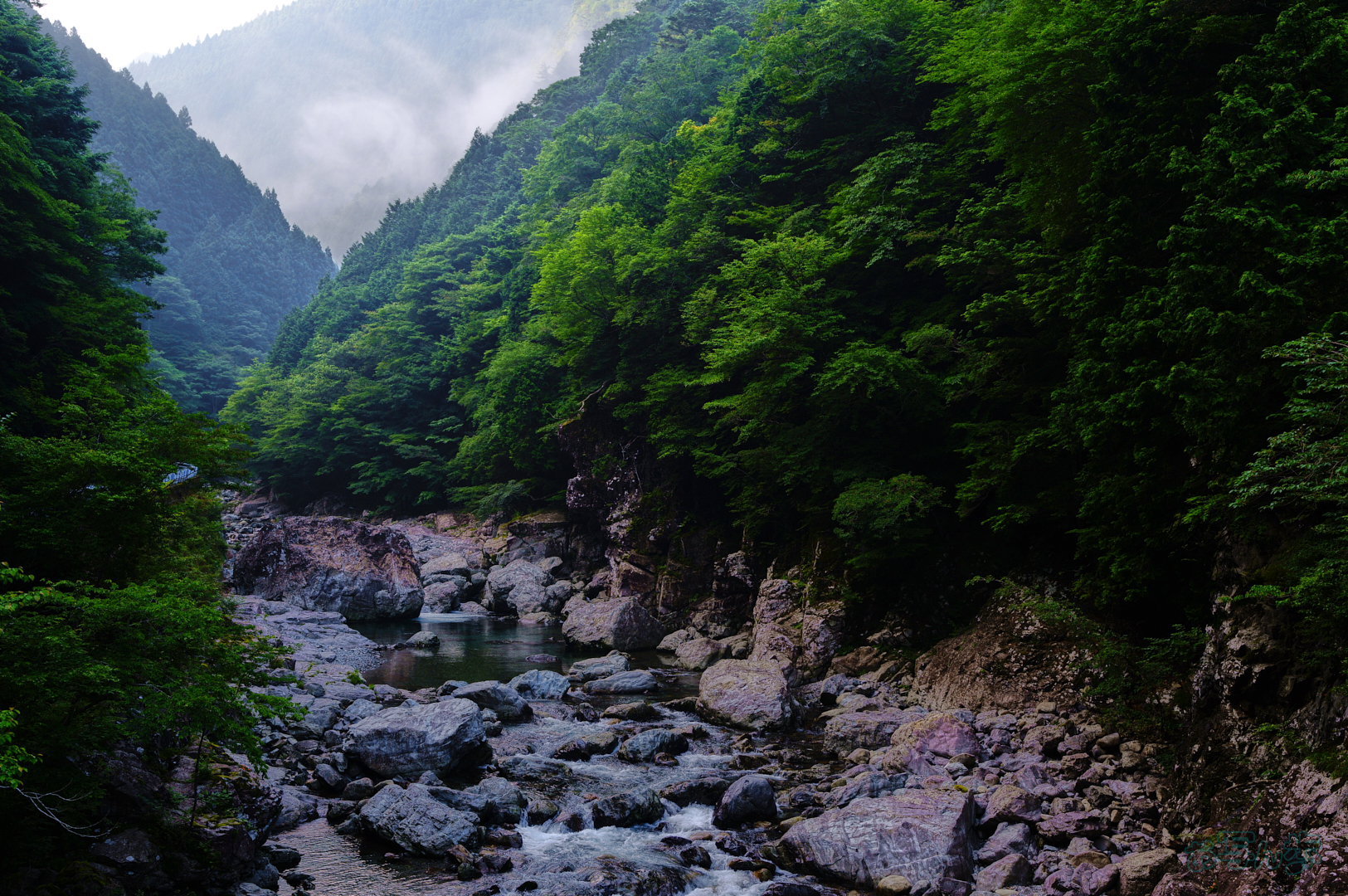 https://www.yaotomi.co.jp/blog/walk/SDIM6152%2C25%20mm%2CF5.6%2C1-60%20%E7%A7%92%2Ciso100%28JPEG%29.jpg