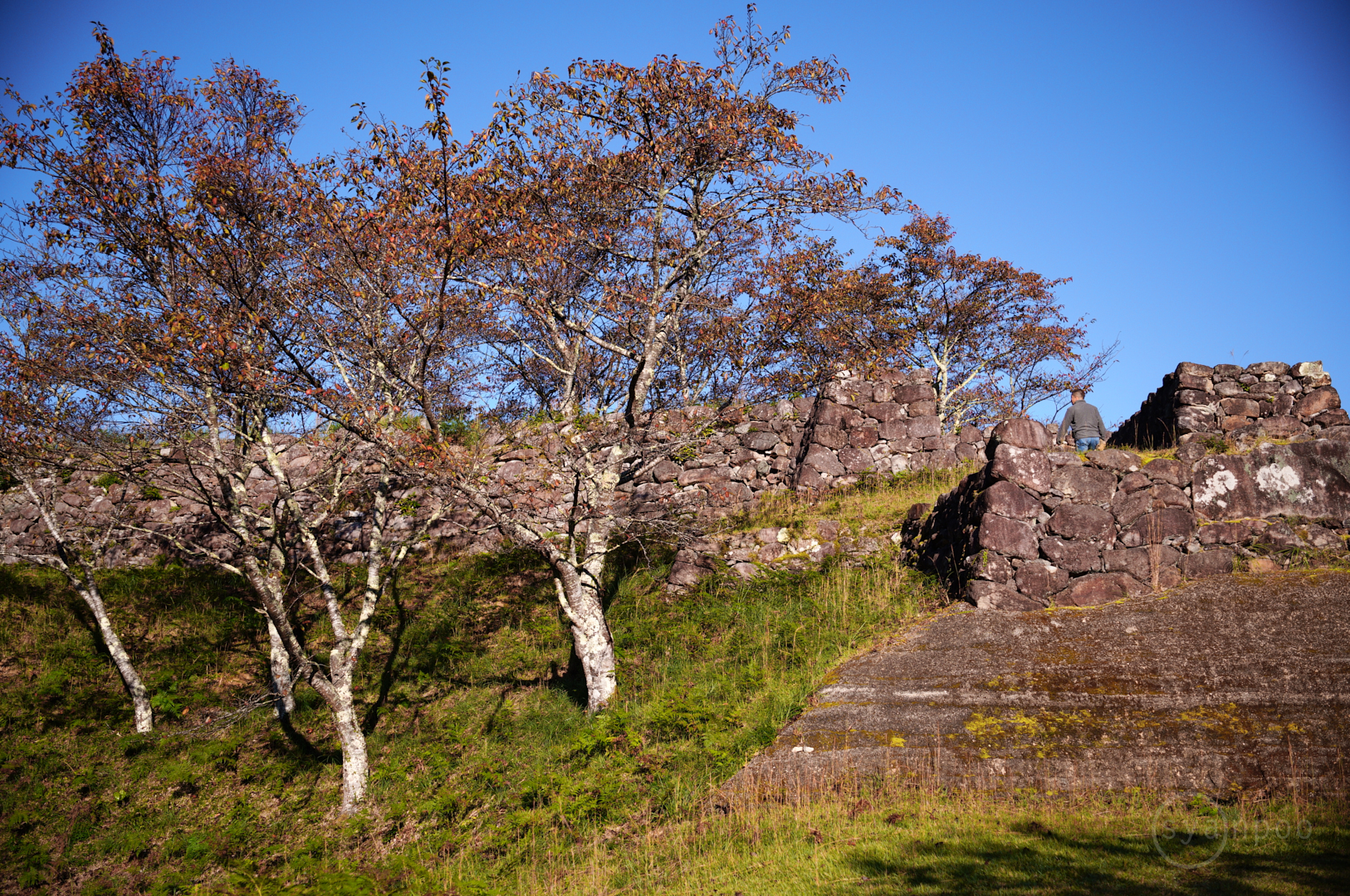 https://www.yaotomi.co.jp/blog/walk/SDIM6266%2C27%20mm%2CF2.8%2Ciso100%28JPEG%29.jpg