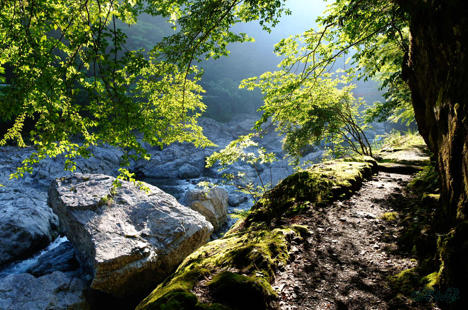 https://www.yaotomi.co.jp/blog/walk/SDIM6337%2C17%20mm%2CF5.6%2C1-80%20%E7%A7%92%2Ciso100%28JPEG%29.jpg