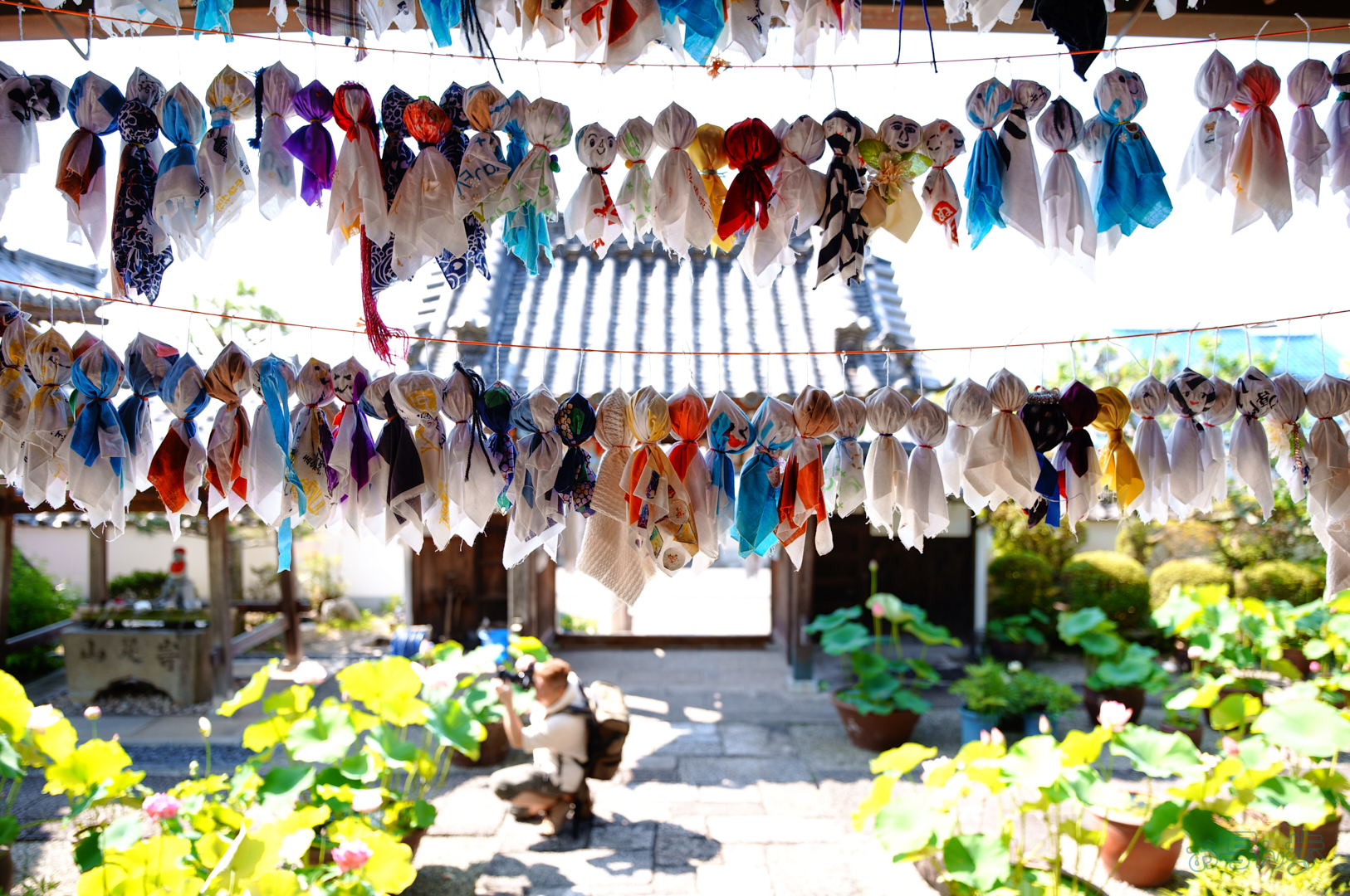 https://www.yaotomi.co.jp/blog/walk/SDIM6481%2C17%20mm%2CF1.8%2C1-500%20%E7%A7%92%2Ciso100%28JPEG%29.jpg