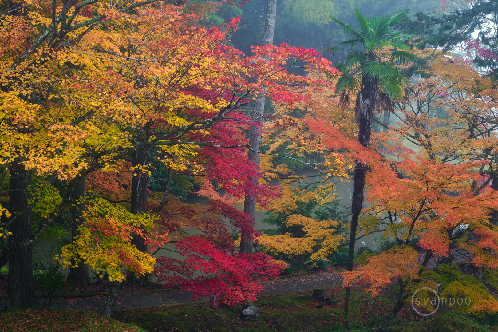 https://www.yaotomi.co.jp/blog/walk/SDIM6483%2C70%20mm%2CF7.1%2Ciso640%28JPEG%29.jpg