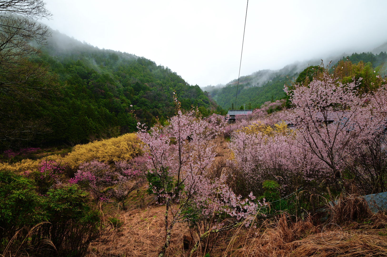 https://www.yaotomi.co.jp/blog/walk/SDIM6632%2C17%20mm%2CF10%2Ciso125%28JPEG%29.jpg