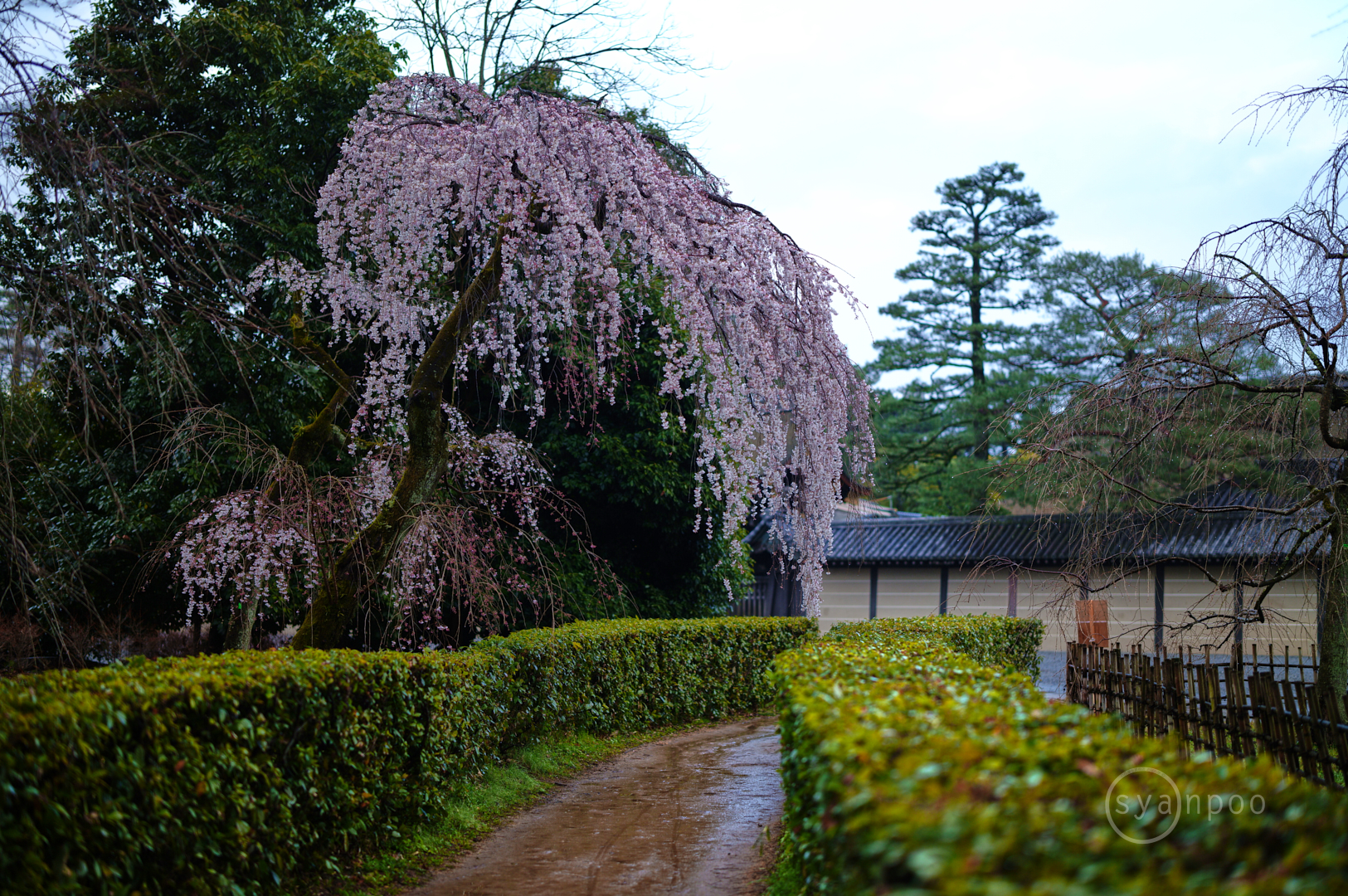 https://www.yaotomi.co.jp/blog/walk/SDIM6647%2C50%20mm%2CF1.2%2Ciso100%28JPEG%29.jpg