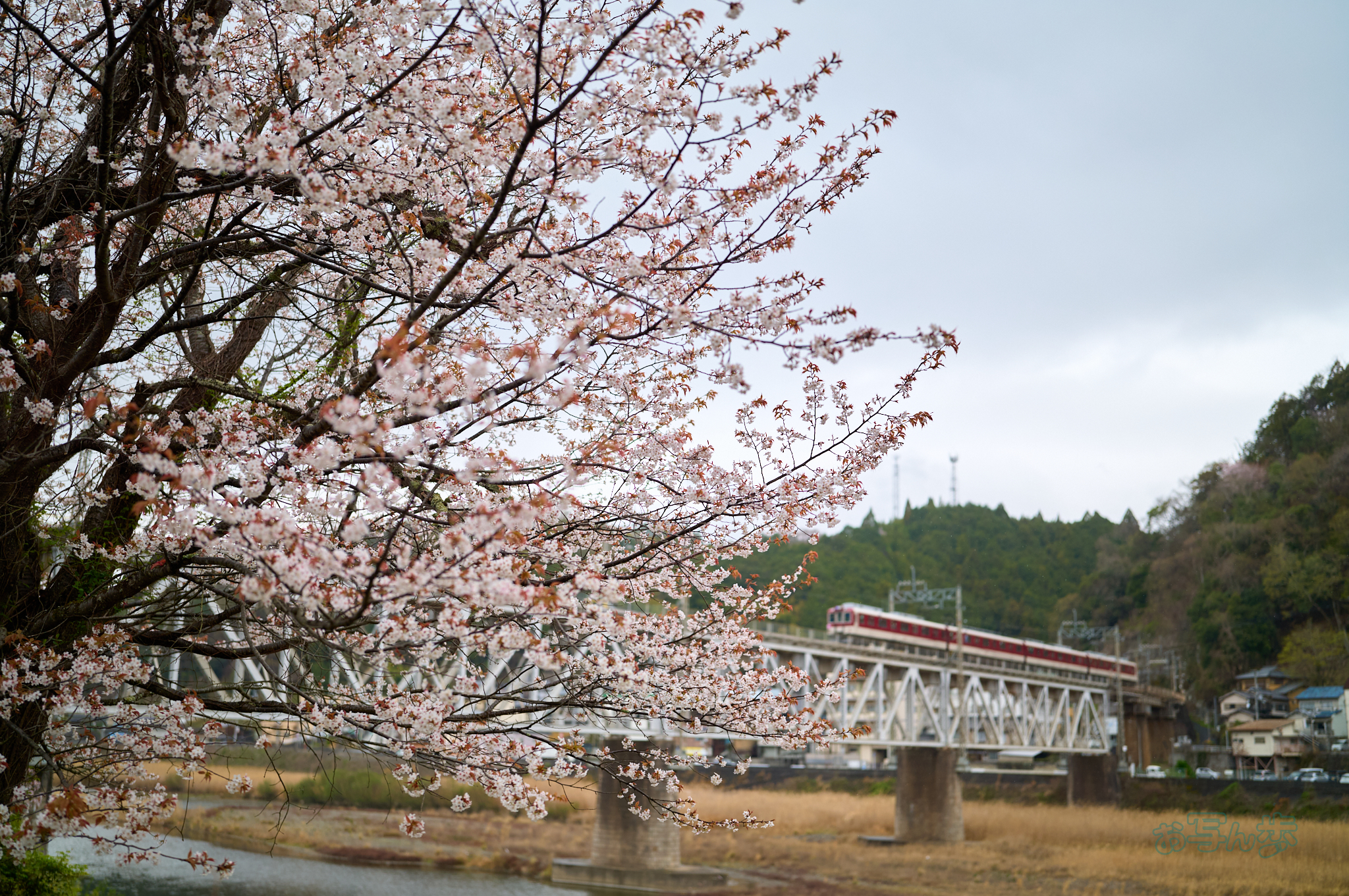 https://www.yaotomi.co.jp/blog/walk/SDIM6797co%2C35%20mm%2CF1.4%2Ciso160%28DNG%29.jpg